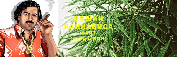 ПСИЛОЦИБИНОВЫЕ ГРИБЫ Аркадак