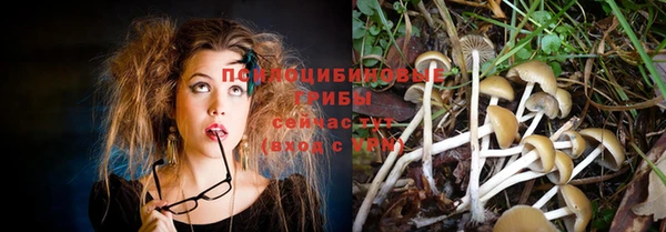 индика Алексеевка