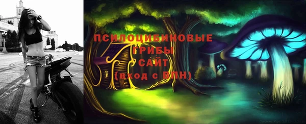 ПСИЛОЦИБИНОВЫЕ ГРИБЫ Аркадак